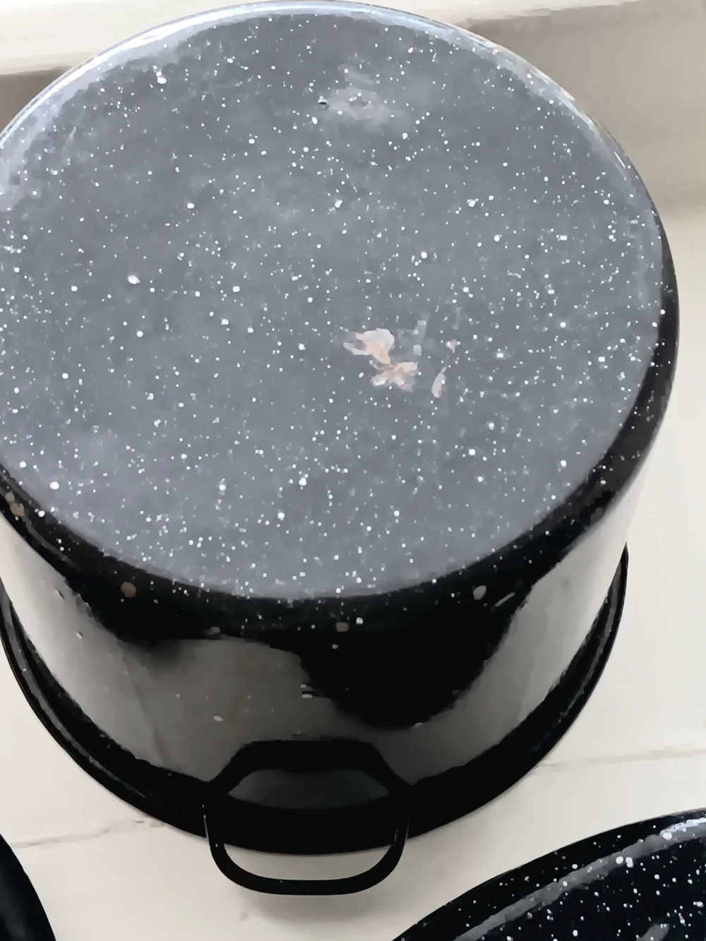 Enamel Speckled Black Stockpot and Roasting Pan Set - Black